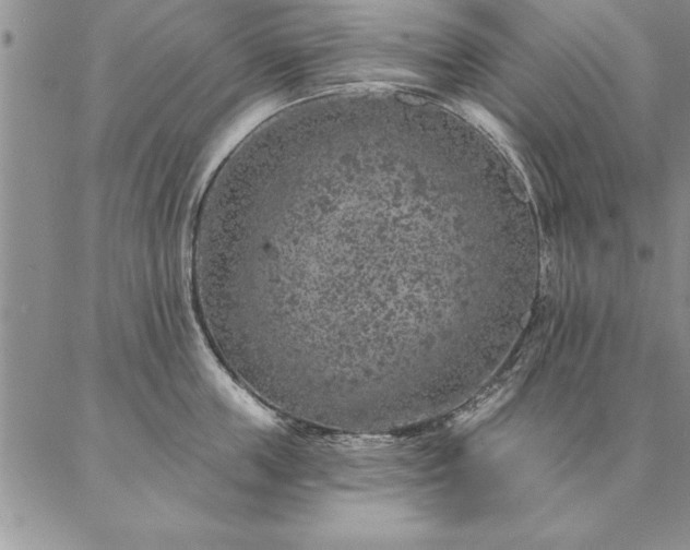 X0000087380859200704271555