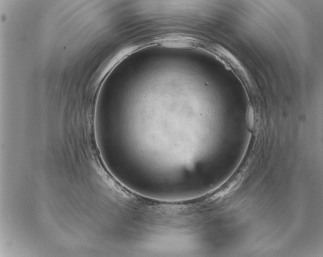 X0000087380860200704271555