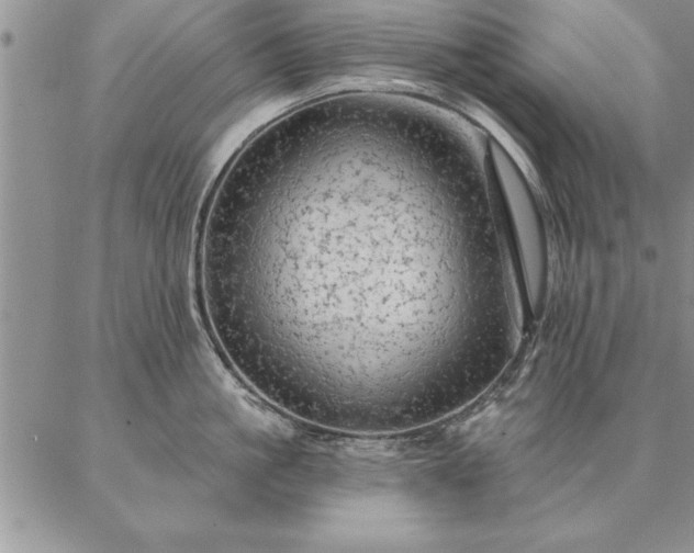 X0000087380861200704271555