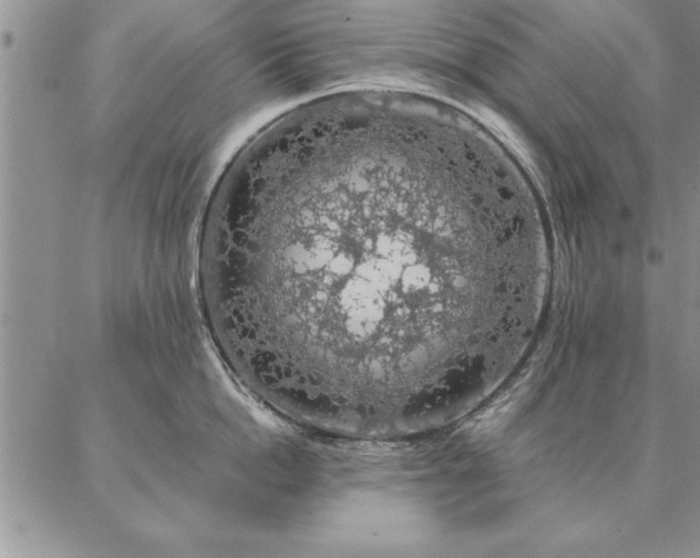 X0000087380862200704271555