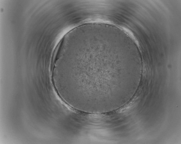 X0000087380863200704271555