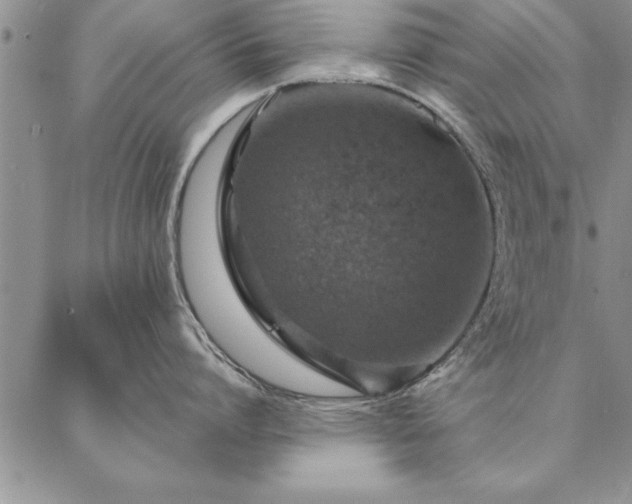 X0000087380864200704271555