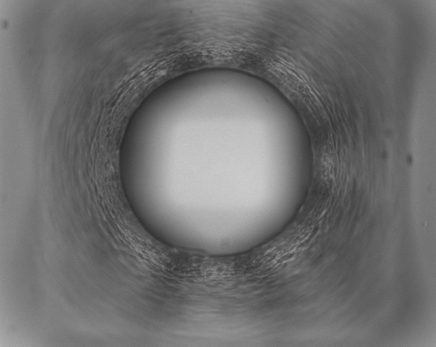 X0000087380865200704271555