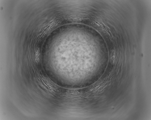 X0000087380866200704271555