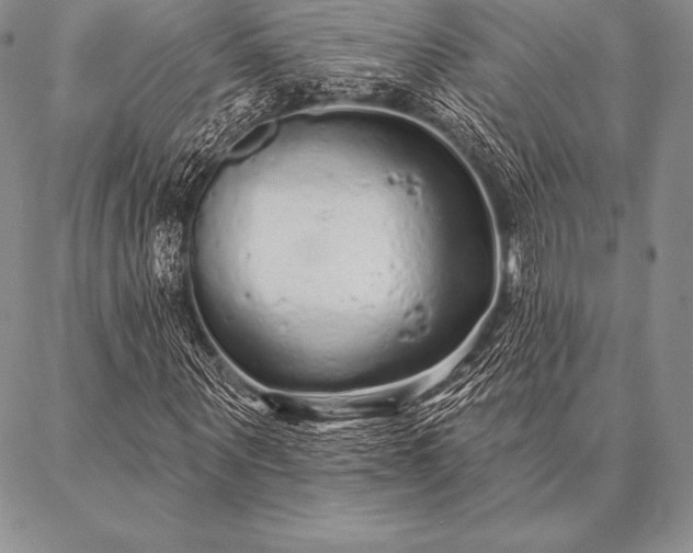 X0000087380867200704271555