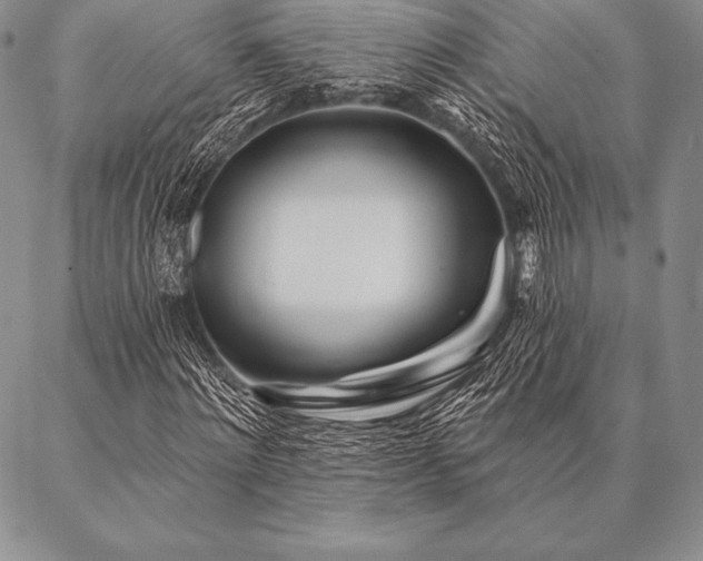 X0000087380868200704271555