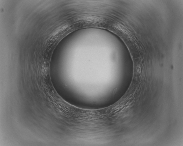 X0000087380869200704271555