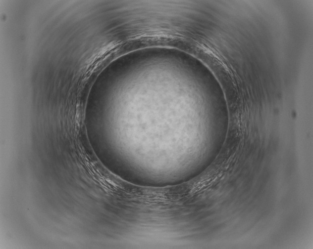 X0000087380870200704271555