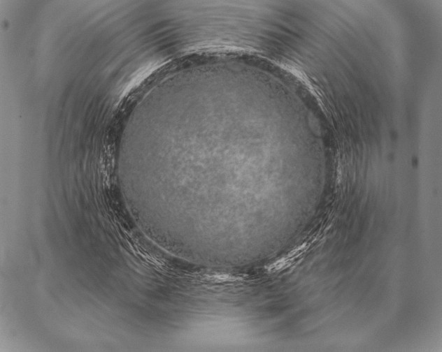 X0000087380871200704271555