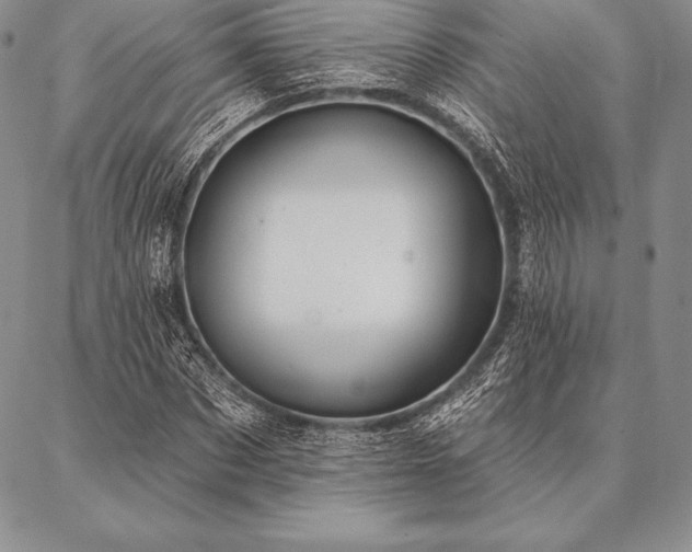 X0000087380873200704271555