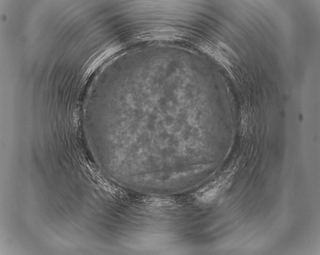 X0000087380874200704271555