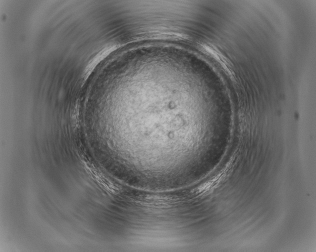 X0000087380875200704271555