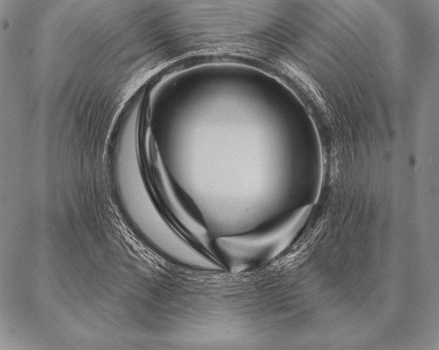 X0000087380876200704271554