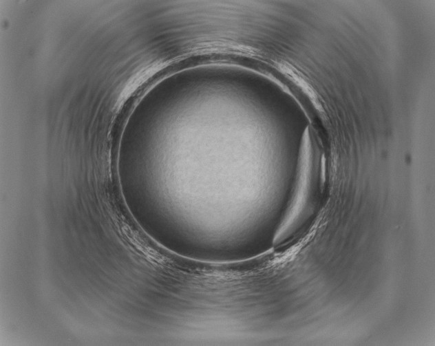 X0000087380877200704271554