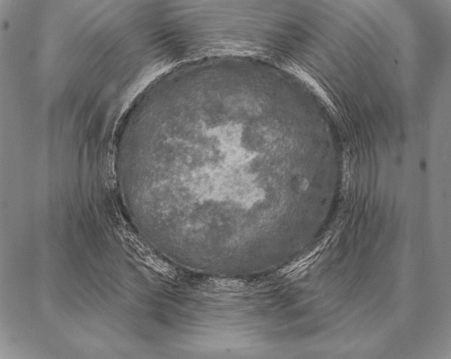 X0000087380878200704271554