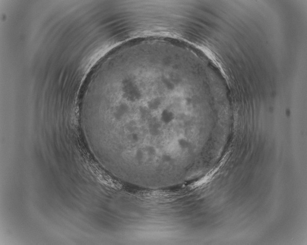 X0000087380879200704271554