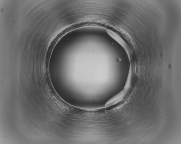 X0000087380880200704271554