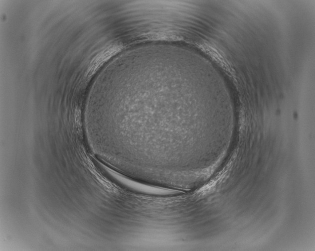 X0000087380881200704271554