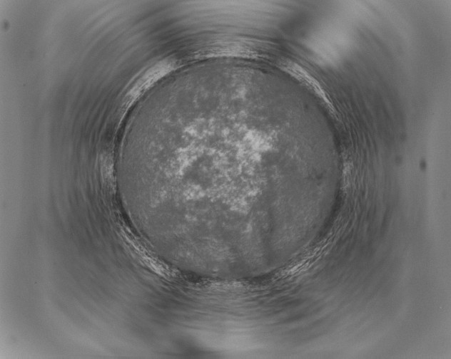 X0000087380882200704271554