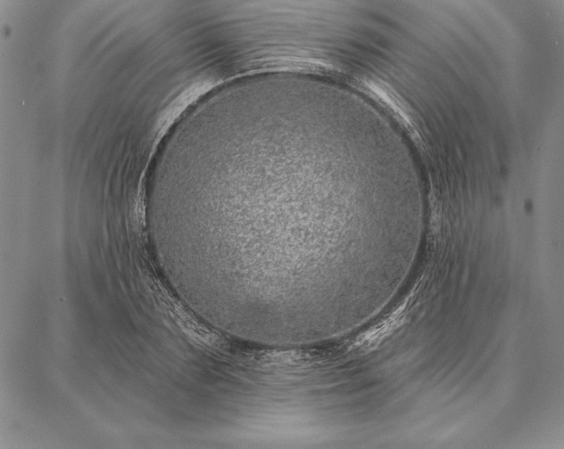 X0000087380883200704271554