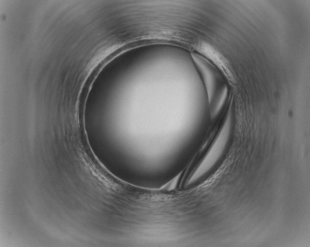 X0000087380884200704271554