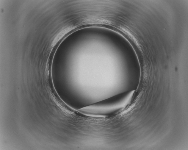 X0000087380885200704271554