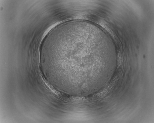 X0000087380886200704271554