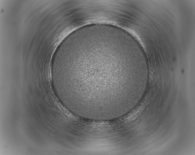 X0000087380887200704271554