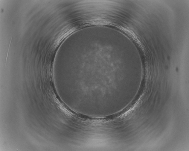 X0000087380889200704271554