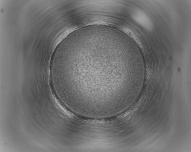 X0000087380890200704271554