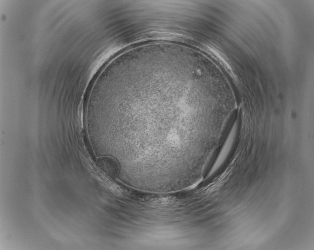 X0000087380891200704271554