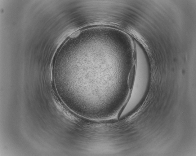 X0000087380892200704271554