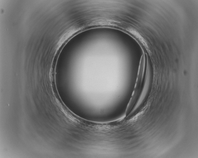 X0000087380893200704271554