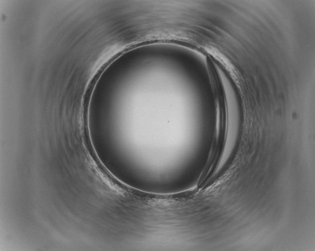 X0000087380894200704271554