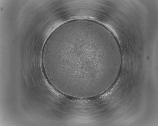 X0000087380895200704271554