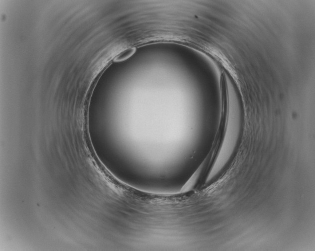 X0000087380898200704271554