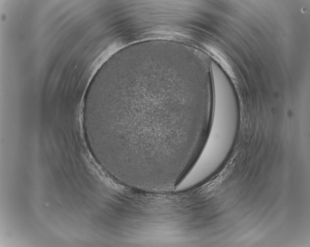 X0000087380899200704271554