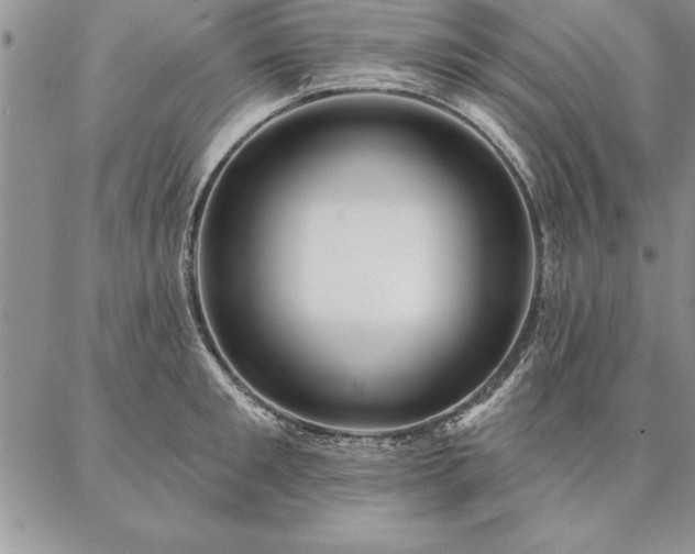 X0000087380901200704271554