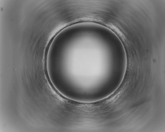 X0000087380902200704271554