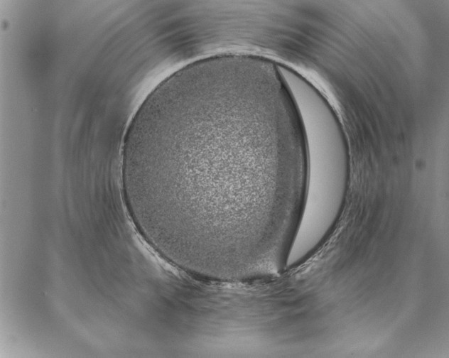 X0000087380903200704271554