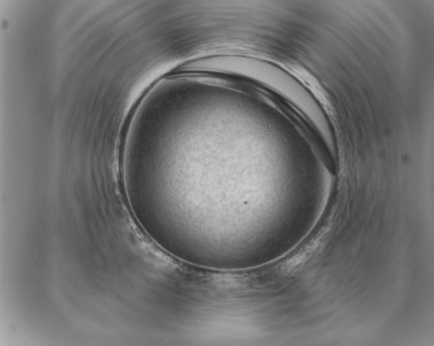 X0000087380904200704271554