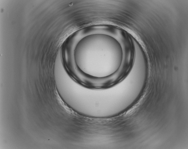 X0000087380905200704271554