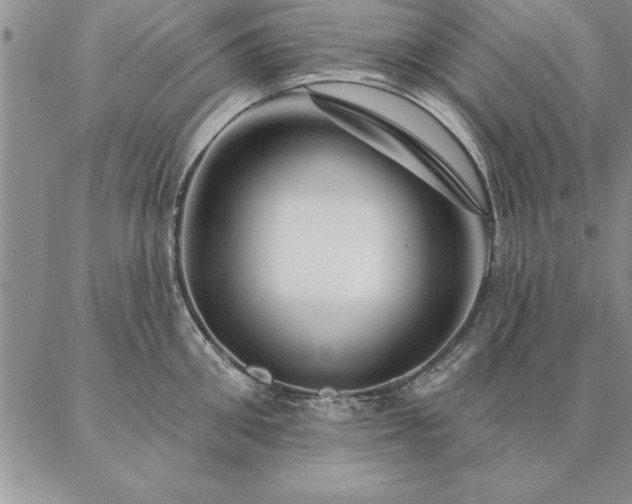 X0000087380906200704271554