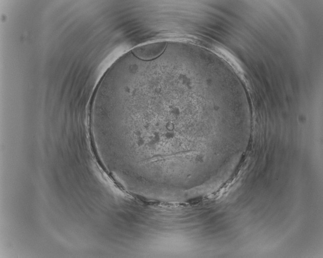 X0000087380907200704271554