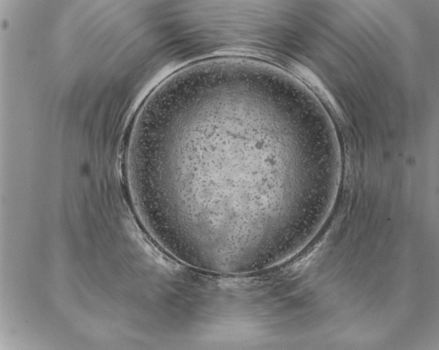 X0000087380908200704271554