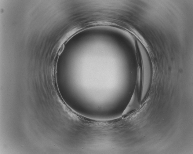 X0000087380909200704271554