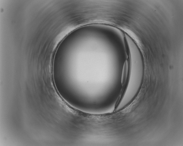 X0000087380910200704271554