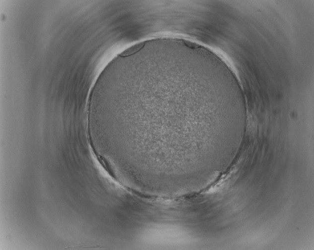 X0000087380911200704271554