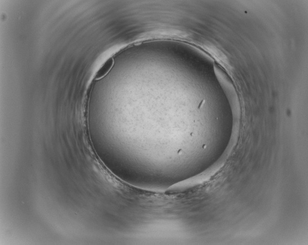 X0000087380912200704271554