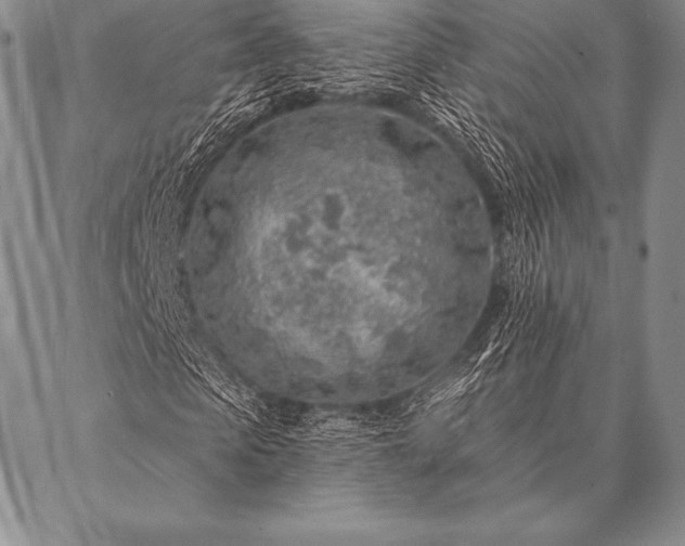 X0000087380913200704271553